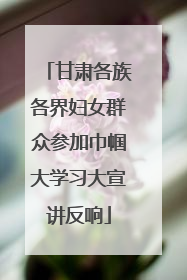 甘肃各族各界妇女群众参加巾帼大学习大宣讲反响